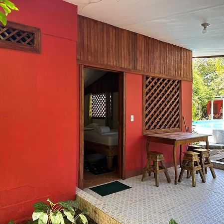 Hotel Don Quichotte Tortuguero Zewnętrze zdjęcie