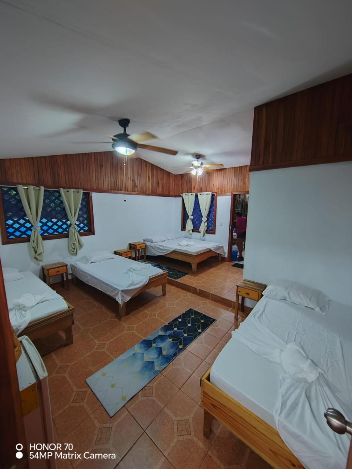 Hotel Don Quichotte Tortuguero Zewnętrze zdjęcie