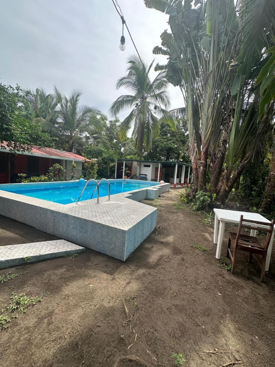 Hotel Don Quichotte Tortuguero Zewnętrze zdjęcie