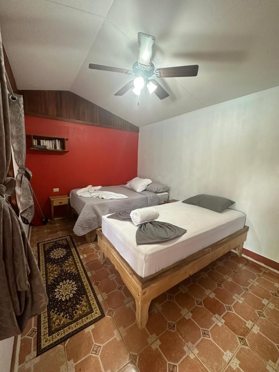 Hotel Don Quichotte Tortuguero Zewnętrze zdjęcie