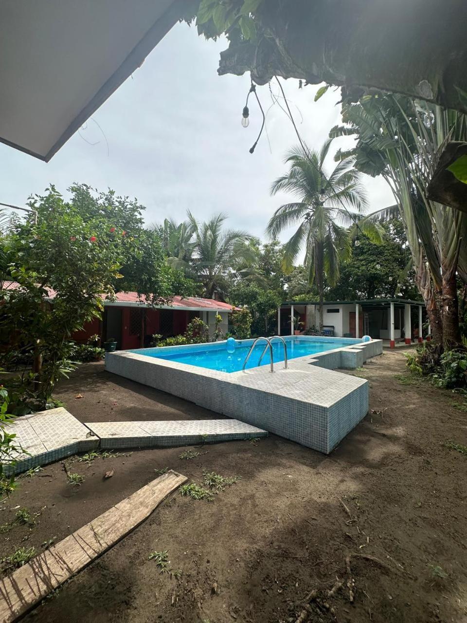 Hotel Don Quichotte Tortuguero Zewnętrze zdjęcie