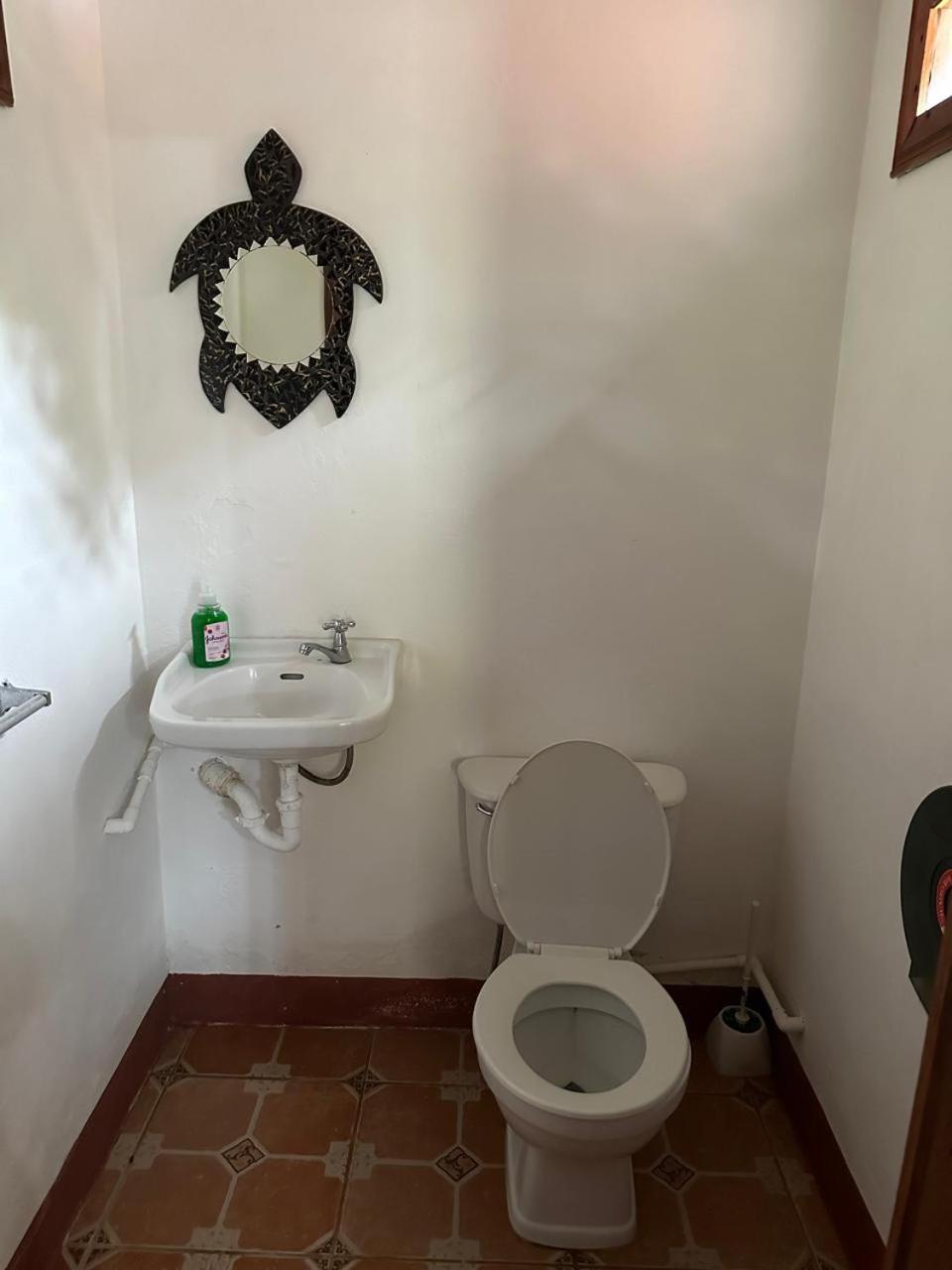 Hotel Don Quichotte Tortuguero Zewnętrze zdjęcie