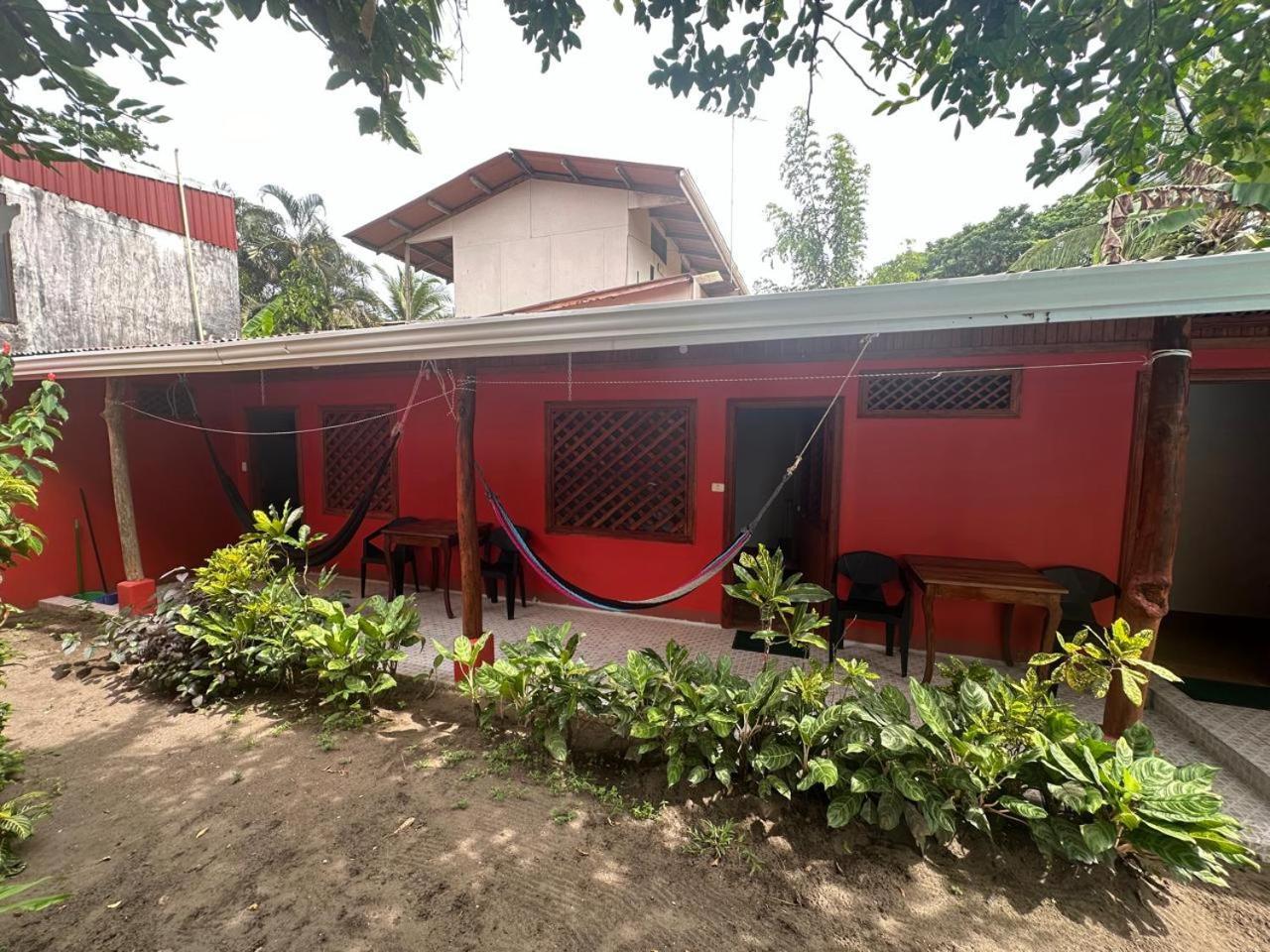 Hotel Don Quichotte Tortuguero Zewnętrze zdjęcie