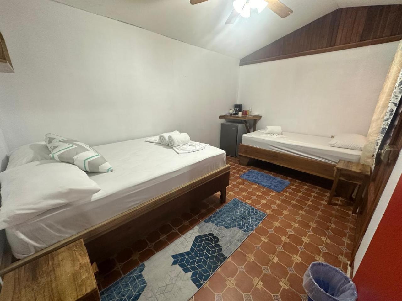 Hotel Don Quichotte Tortuguero Zewnętrze zdjęcie