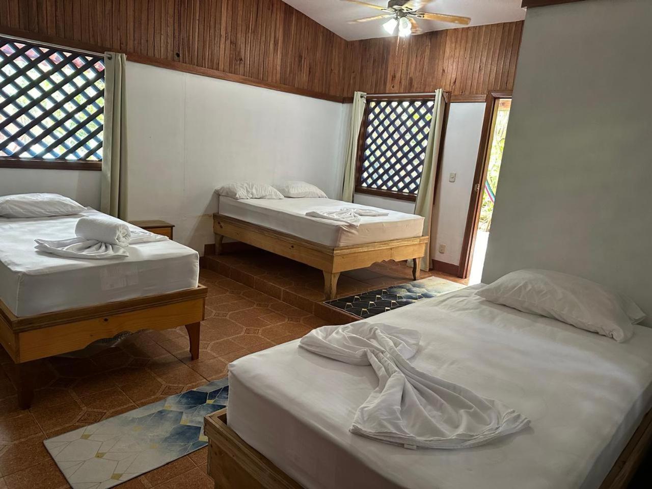 Hotel Don Quichotte Tortuguero Zewnętrze zdjęcie